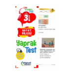 3. Sınıf Hayat Bilgisi Yaprak Test