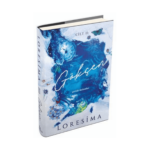 Gökçen 2 Geride Kalanlar Ciltli