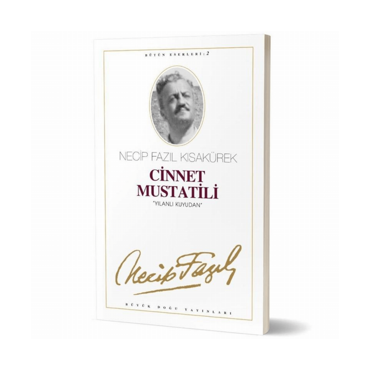 02a92-cinnet-mustatili-2-1-1.png Cinnet Mustatili - 2 - Görsel 1