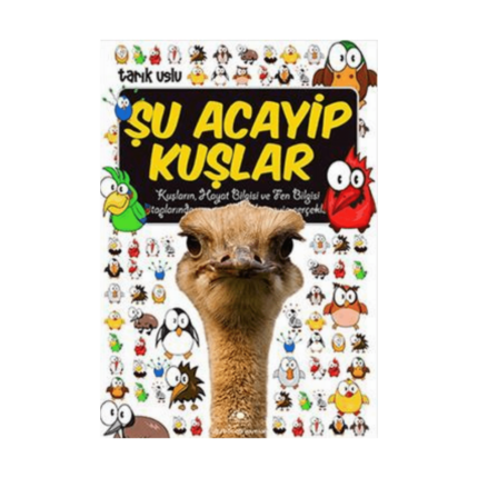 Şu Acayip Kuşlar