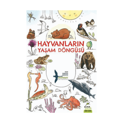 Hayvanların Yaşam Döngüsü