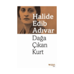Dağa Çıkan Kurt