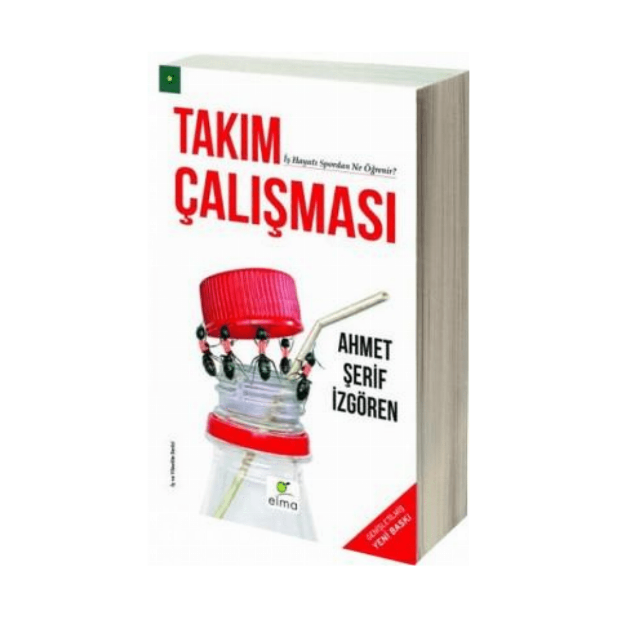 1b5bc-takim-calismasi-1-1.png Takım Çalışması - Görsel 1