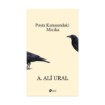 Posta Kutusundaki Mızıka