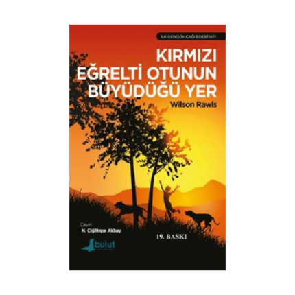 Kırmızı Eğrelti Otunun Büyüdüğü Yer