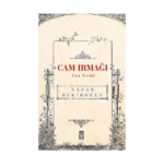 Cam Irmağı Taş Gemi