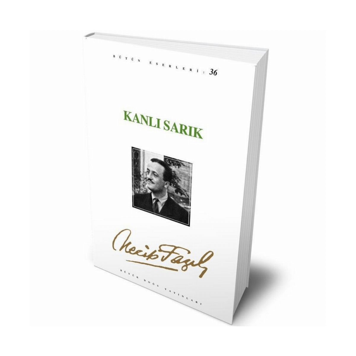 2ada5-kanli-sarik-30-1-1.png Kanlı Sarık - 30 - Görsel 1