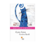 Öykü Öykü Gezen Kedi