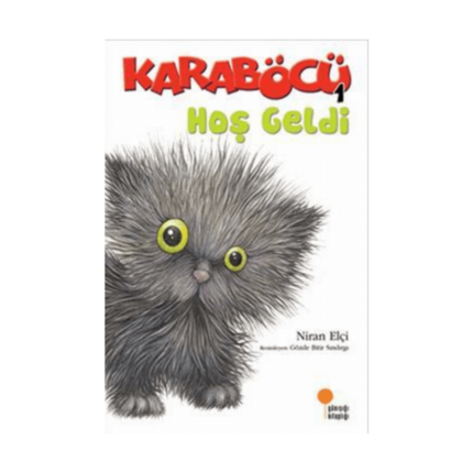 Karaböcü 1 Hoş Geldi