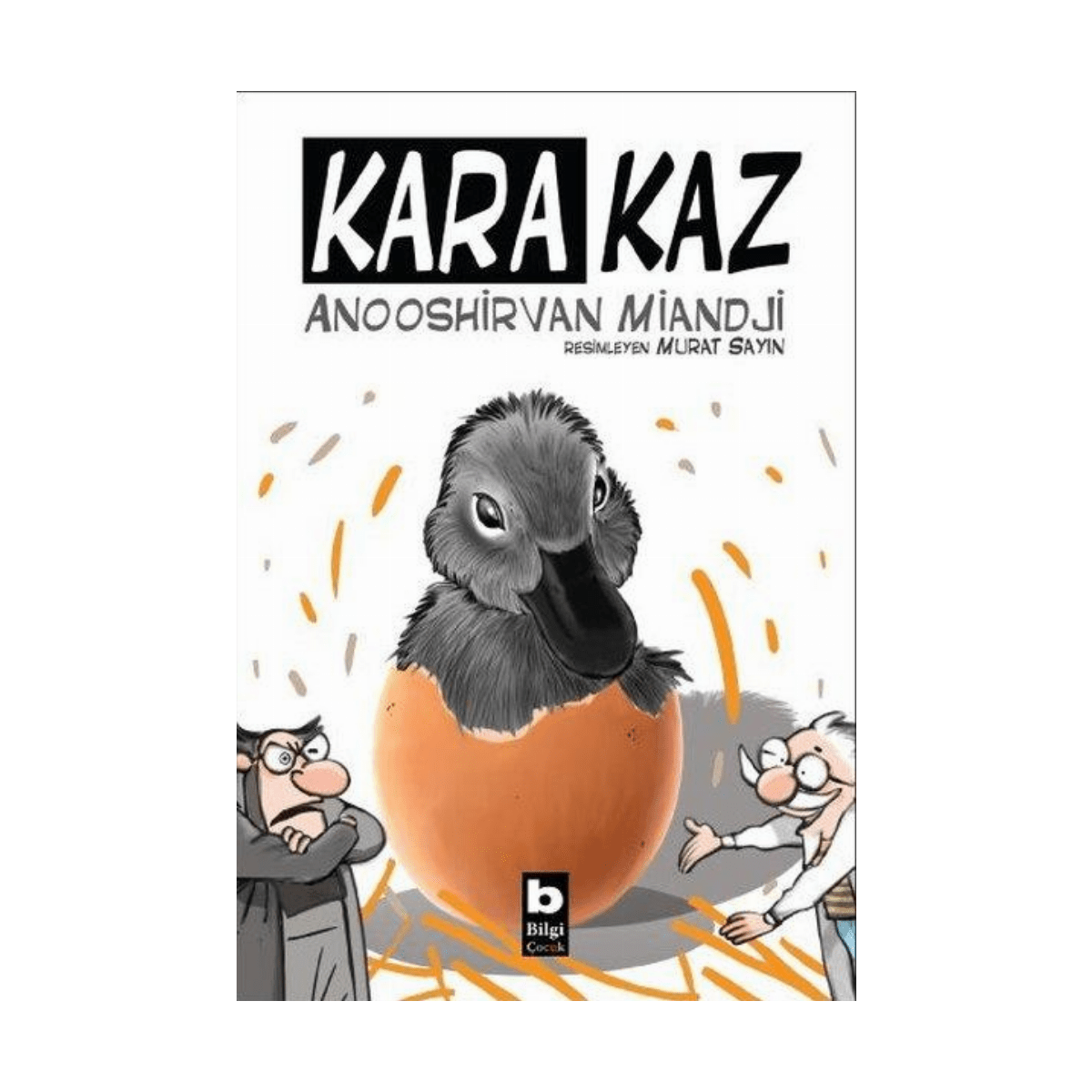 30cd4-kara-kaz-1-1.png Kara Kaz - Görsel 1