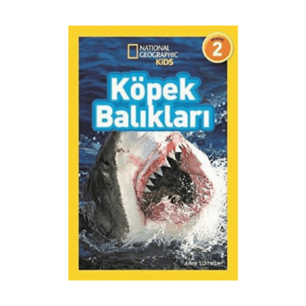 Köpek Balıkları (Seviye 2)