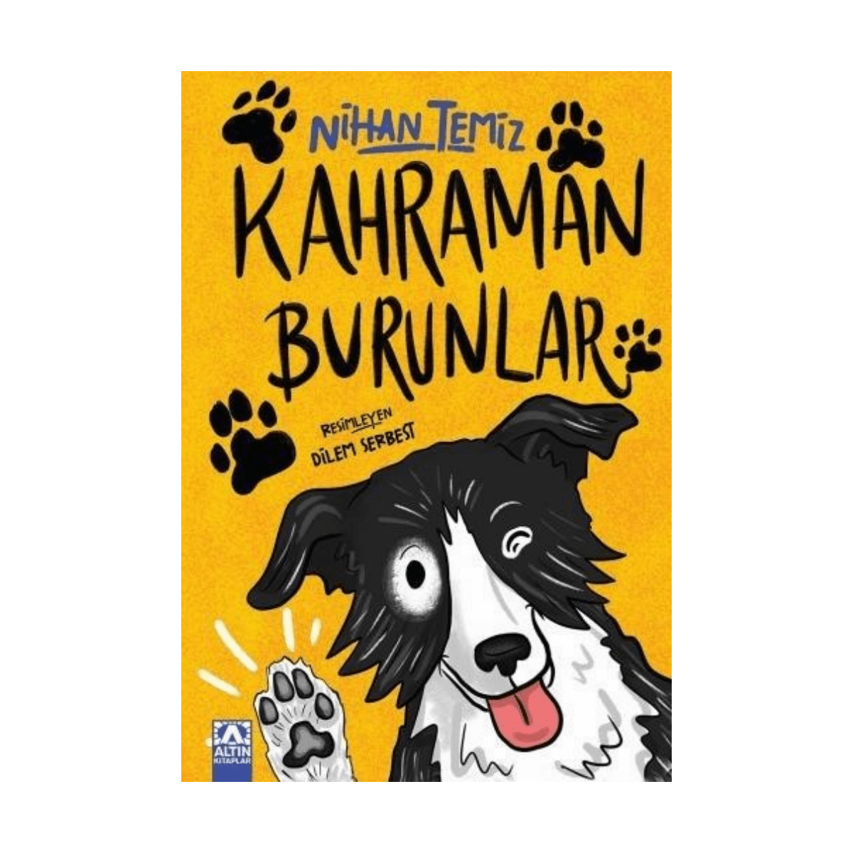 3b0fd-kahraman-burunlar-1-1.png Kahraman Burunlar - Görsel 1