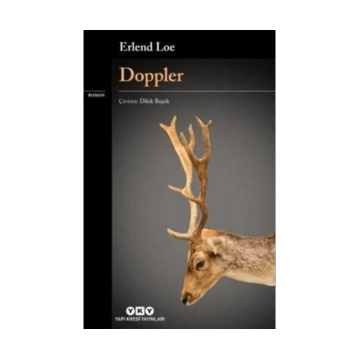 Doppler - Görsel 1