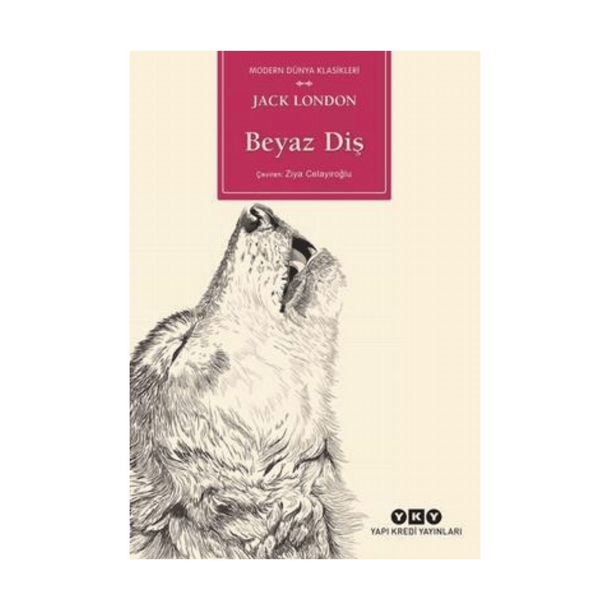 4db1f-beyaz-dis-yapi-kredi-yayinlari-1-1.png Beyaz Diş - Yapı Kredi Yayınları - Görsel 1