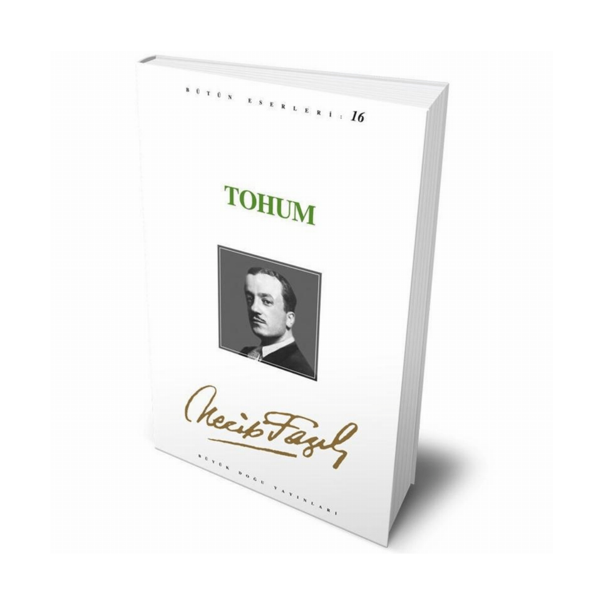 506e4-tohum-15-1-1.png Tohum - 15 - Görsel 1