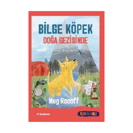 Bilge Köpek Doğa Gezisinde