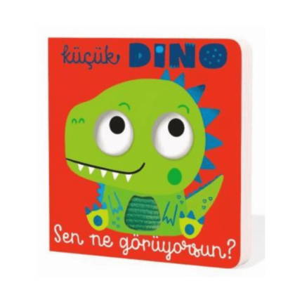 Küçük Dino Sen Ne Görüyorsun? Ciltli