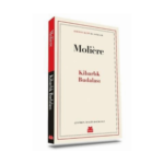 Kibarlık Budalası - Kırmızı Kedi Yayınevi