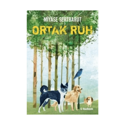 Sisin Sakladıkları 2 Ortak Ruh