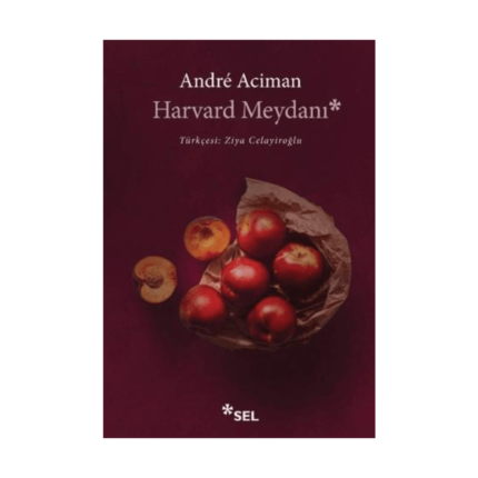 Harvard Meydanı