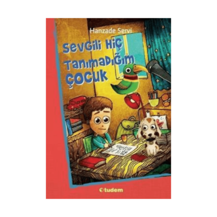 Sevgili Hiç Tanımadığım Çocuk