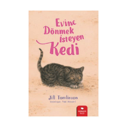 Evine Dönmek İsteyen Kedi