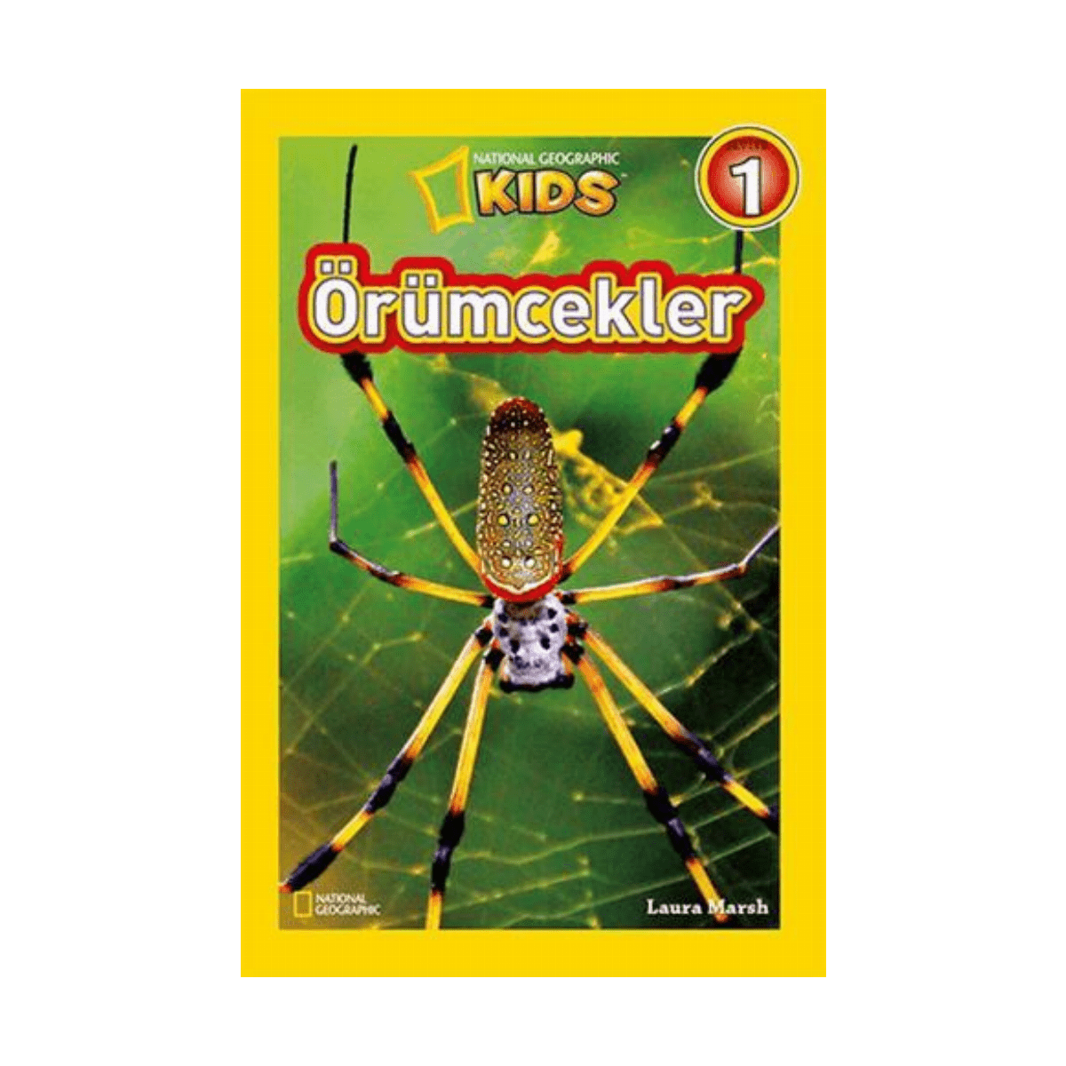 6f2d2-orumcekler-1-1.png Örümcekler - Görsel 1