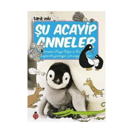 Şu Acayip Anneler