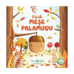 Küçük Meşe Palamudu Doğanın Eşsiz Hikayeleri 2