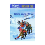Karlı Yollarda