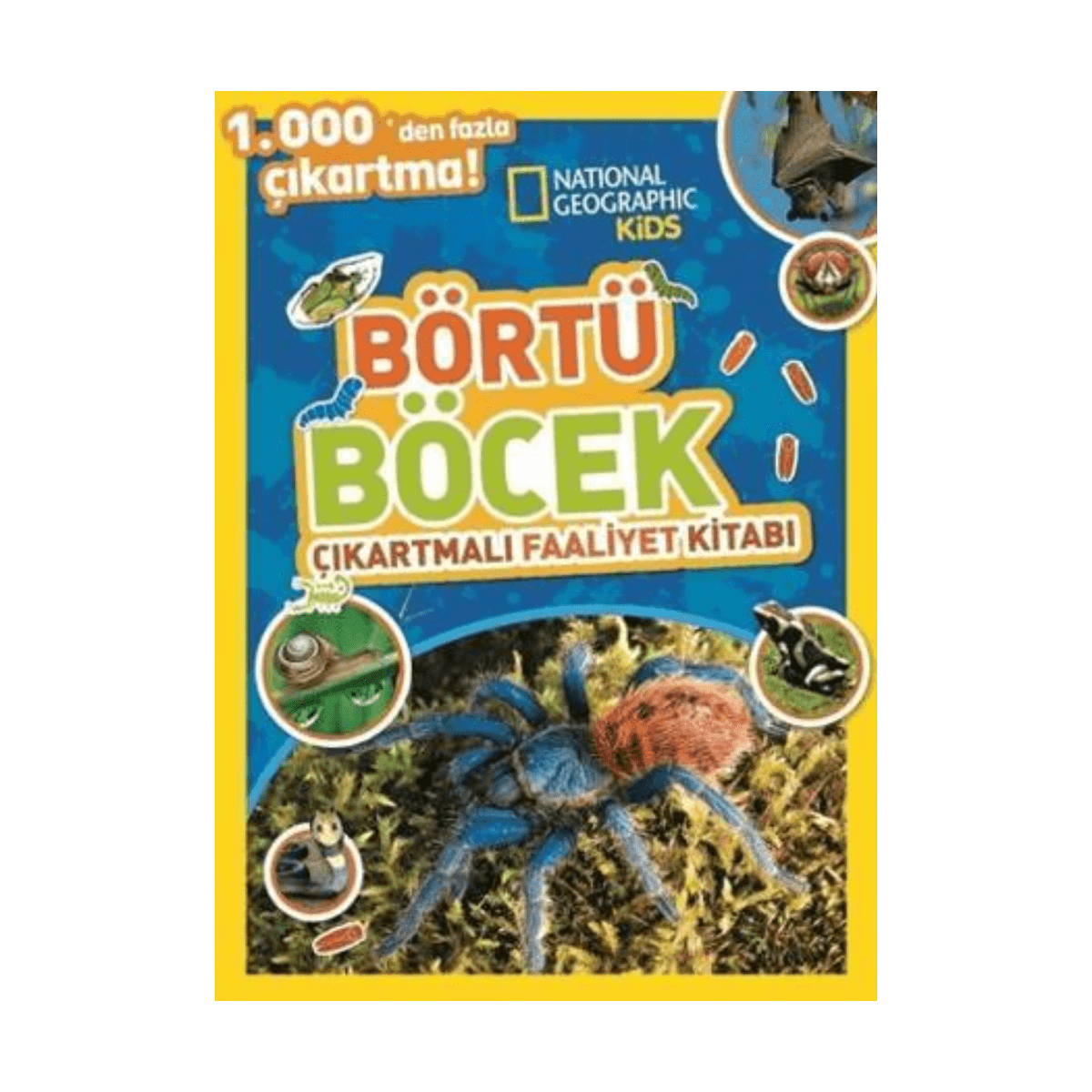 93167-national-geographic-kids-bortu-bocek-cikartmali-faaliyet-kitabi-1-1.png National Geographic Kids Börtü Böcek Çıkartmalı Faaliyet Kitabı - Görsel 1