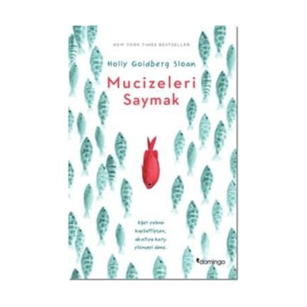 Mucizeleri Saymak