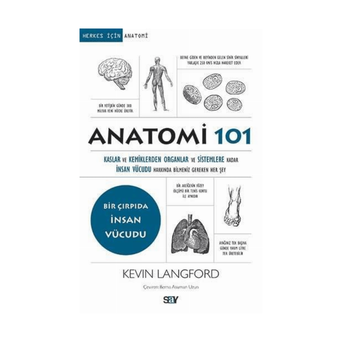 9d5af-anatomi-101-1-1.png Anatomi 101 - Görsel 1