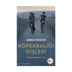 Köpekbalığı Dişleri