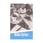 Bütün Şiirleri Ahmet Hamdi Tanpınar