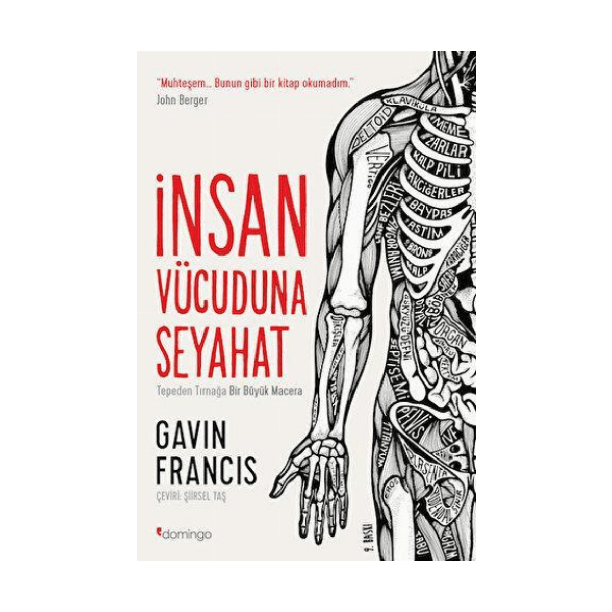 aec5f-insan-vucuduna-seyahat-1-1.png İnsan Vücuduna Seyahat - Görsel 1