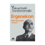 Ergenekon-Milli Mücadele Yazıları