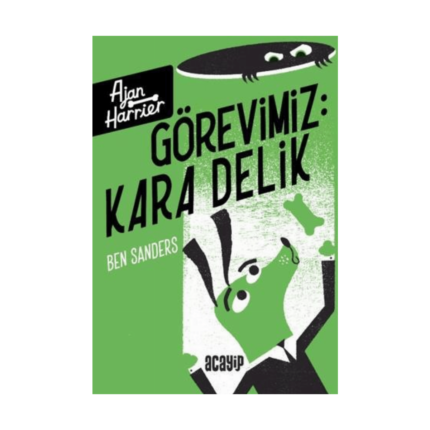 Görevimiz Kara Delik