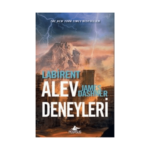 Labirent Alev Deneyleri
