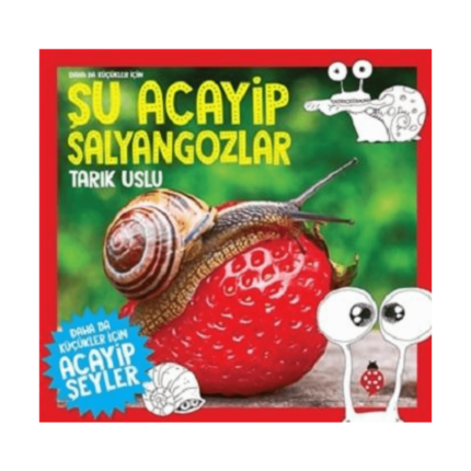 Daha Da Küçükler İçin Şu Acayip Salyangozlar