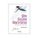 Şiir Saldım Gökyüzüne