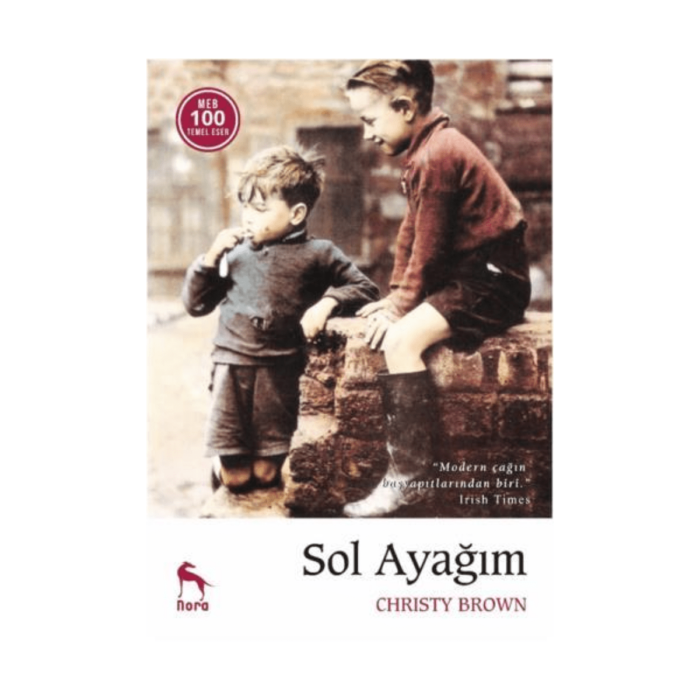 Sol Ayağım - Görsel 1