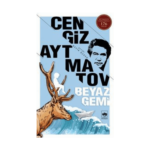 Beyaz Gemi