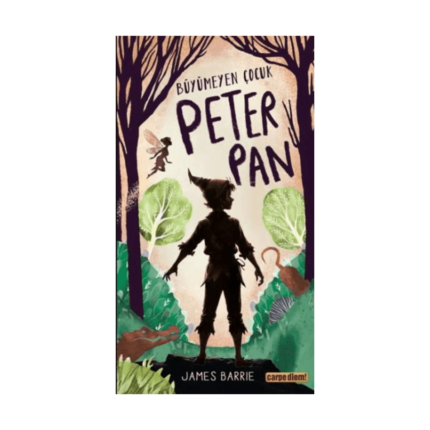 Büyümeyen Çocuk Peter Pan