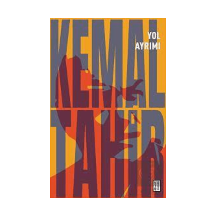 Yol Ayrımı - Görsel 1