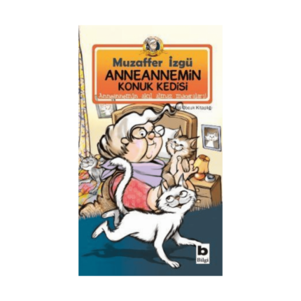 Anneannemin Konuk Kedisi