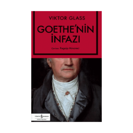 Goethe'nin İnfazı