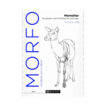 Morfo: Memeliler Karşılaştırmalı Morfolojinin Unsurları - Sanatçılar İçin Anatomi
