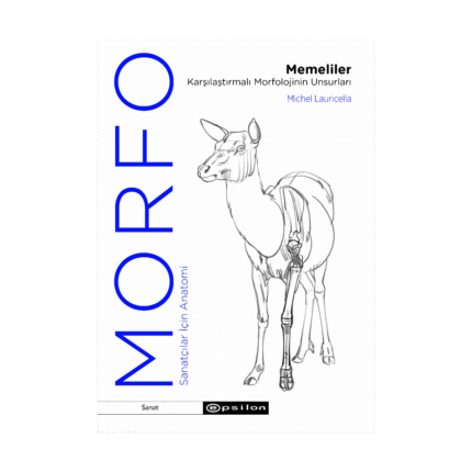 Morfo: Memeliler Karşılaştırmalı Morfolojinin Unsurları - Sanatçılar İçin Anatomi