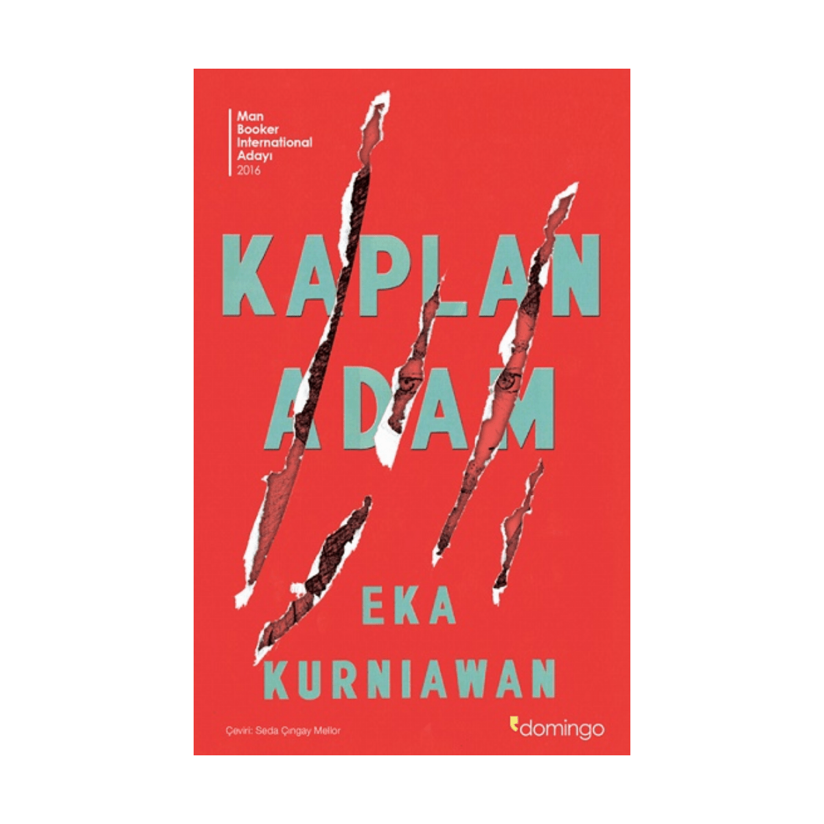 0a6d0-kaplan-adam-1-1.png Kaplan Adam - Görsel 1